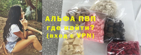 сатива Богданович