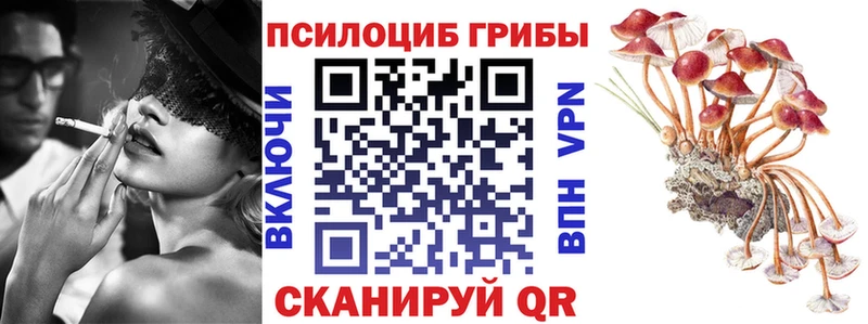 Галлюциногенные грибы Psilocybine cubensis  Верхний Тагил 